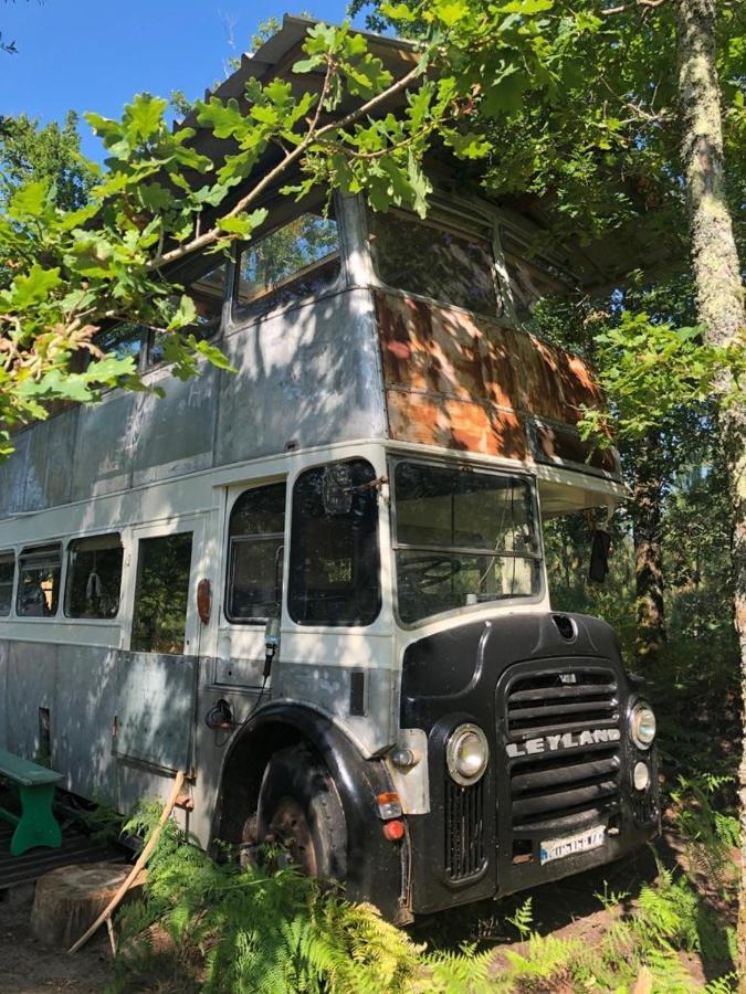Cosmic English Bus 2 Floor Mimizan-Plage Exterior foto